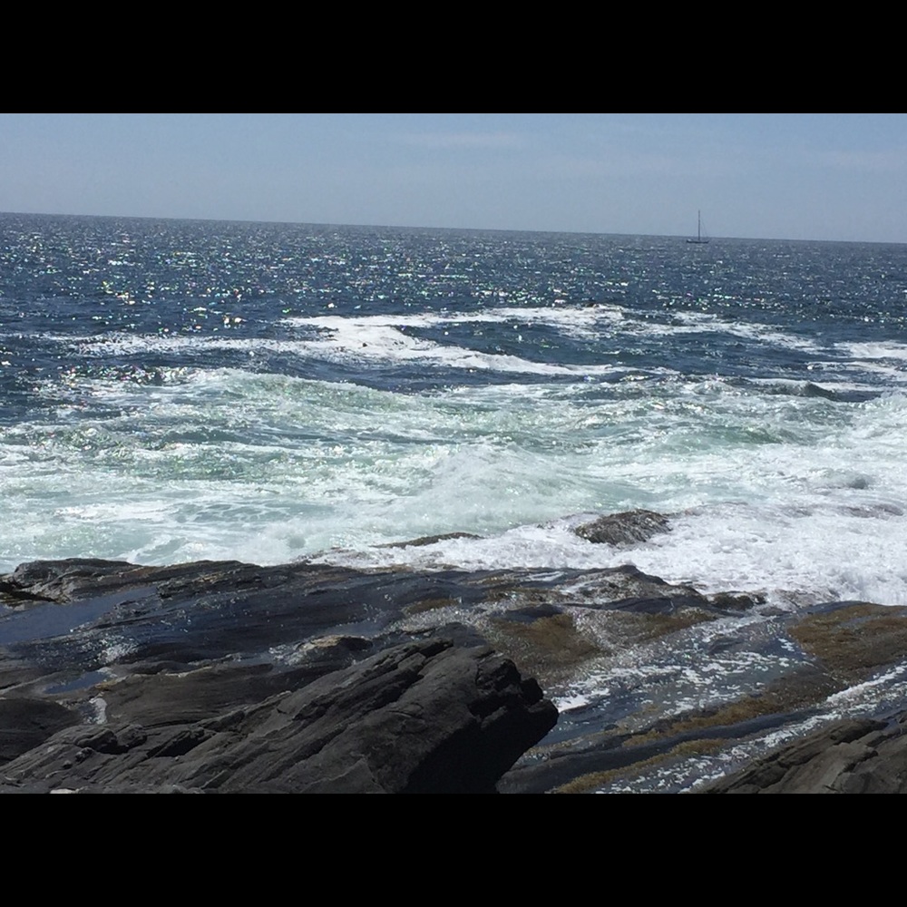 Meet your Posher, Lydia